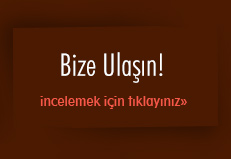 bize