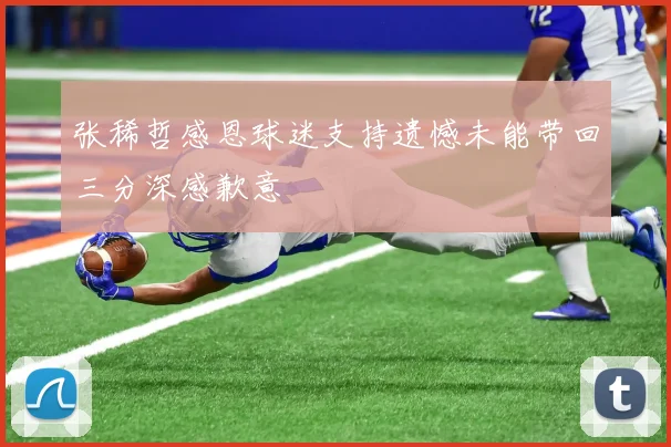 张稀哲感恩球迷支持遗憾未能带回三分深感歉意